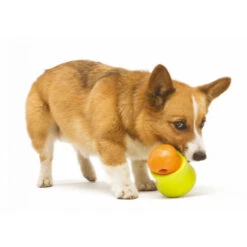 Zogoflex Toppl - Treat Toy -Honden Benodigdheden Winkel 0cJe9jR88p4kg2k2eS0t6102tBKRW4 metaVG9wcGwtaG9uZC16bC5qcGc