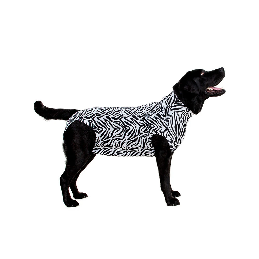 Medical Pet Shirt Hond Zebra Print 13 Medical Pet Shirt Hond Zebra Print - Afbeelding 13