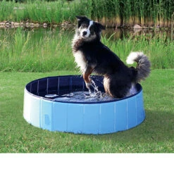 Trixie Dog Pool -Honden Benodigdheden Winkel 0fd4ce56464af1b7d48a1b50ecd6a6dc2140966c9be9a6012e70984c9ee347c7 2