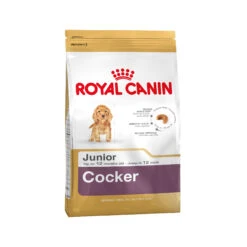Royal Canin Cocker Puppy - Hondenvoer -Honden Benodigdheden Winkel 139660b7d4c3f7b3e669646bc66d96e0e43befc75073da92ec7f60325929141e 3 5