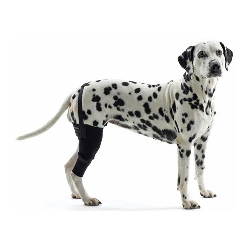 Kruuse Rehab Kniebeschermer 2 Kruuse Rehab Kniebeschermer - Afbeelding 2