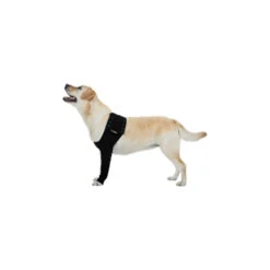 Suitical Recovery Sleeve -Honden Benodigdheden Winkel 239c8635f707f8160b8fbc645c1fbd25371fb6aeb26dcd98618d91347a7faf0b 3