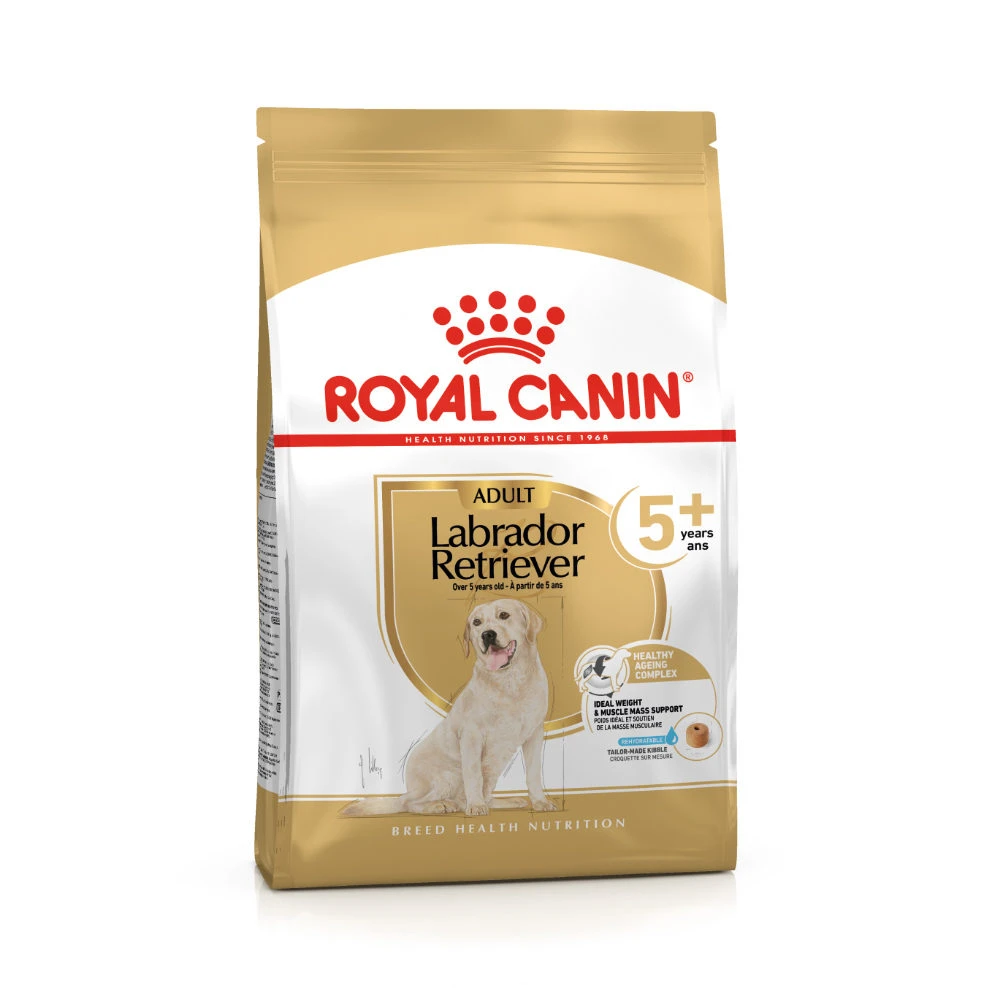 Royal Canin Labrador Retriever Adult 5+ 1 Royal Canin Labrador Retriever Adult 5+