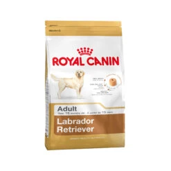 Royal Canin Labrador Retriever Adult - Hondenvoer -Honden Benodigdheden Winkel 3da42596fc5f963c49b1dc4e1754d73bd808f78519e1d01deaf431f4a8f121d5 4