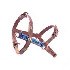 DWAM Hondentuigje Boho Juan -Honden Benodigdheden Winkel 3df6bea085ac89cbb0243cafc5e51257d293169e03f221ee5c780080e2ff8a36 3