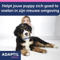 Adaptil Halsband - Junior -Honden Benodigdheden Winkel 3gIEoBqQiP1u6QnSYa9iRNNOP2PfnQ metaQWRhcHRpbC1KdW5pb3ItY29sbGFyLUNhcm91c3NlbC0yLmpwZw