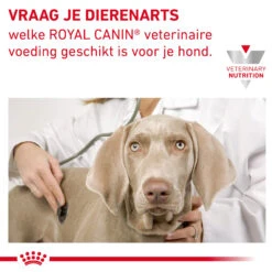 Royal Canin Gastrointestinal High Fibre Hond -Honden Benodigdheden Winkel 3pRt4qKrQoxHulfJKVdpAVEM4Nm5L0 metaR0FTVFJPSU5URVNUSU5BTC1ISUdILUZJQlJFLTkgLSBrb3BpZS5qcGc