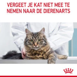 Royal Canin Appetite Control Care In Gravy 24 Royal Canin Appetite Control Care In Gravy -Honden Benodigdheden Winkel 3ugtwVIvdjEGobwbLUlmViOrKDvSxI metaUm95YWwtQ2FuaW4tVXJpbmFyeS1DYXJlLWluLUdyYXZ5XzA2LmpwZw