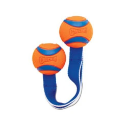 Chuckit! Ultra Duo Tug -Honden Benodigdheden Winkel 4436fdd036cf9b361e71d2fde5a5701e789a8d73fcc7bd1365eeb45fc679edd1 4