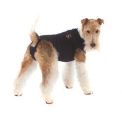 Medical Pet Shirt Hond -Honden Benodigdheden Winkel 4824e31aaaa9e8ef29ea0a9e3386e7e1c0120620d686ccc21387ee33c2deeecf 3