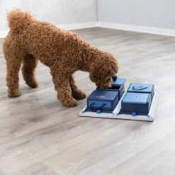 Trixie Dog Activity Poker Box -Honden Benodigdheden Winkel 4GNYmJCarjjHju4owvcW13MD7XvhnS metaVHJpeGllLURvZy1BY3Rpdml0eS1Qb2tlci1Cb3gtMi5qcGc