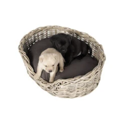 51 Degrees North Rattan Basket -Honden Benodigdheden Winkel 51 degrees north rattan basket 209954 1000 none