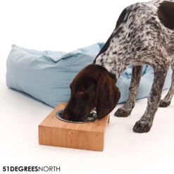 51 Degrees North Voerbak Teak High -Honden Benodigdheden Winkel 51 degrees north voerbak teak high 211085 1000 none