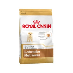 Royal Canin Labrador Retriever Puppy - Hondenvoer -Honden Benodigdheden Winkel 62997caf521778e763bb250bf09ce524f2b31d05f035a56b12fe737caffada9c 4