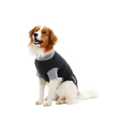 Buster Bodysuit EasyGo 17 Buster Bodysuit EasyGo -Honden Benodigdheden Winkel 6773932e3a57e63016d0b474e61c6b441ce7c992ba1cd88092b192dbbedecfea 3