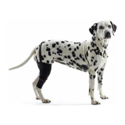 Kruuse Rehab Kniebeschermer 25 Kruuse Rehab Kniebeschermer -Honden Benodigdheden Winkel 6ec066efad2b3eb595413e5ca7857e813ff7bacafc0b3a4fe116833cccf6c303 3