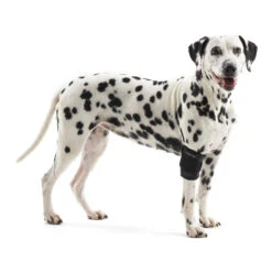 Kruuse Rehab Elleboogbeschermer -Honden Benodigdheden Winkel 707a1307f57d4b5032cf99e3784b03141ed01b9c9317fa83ee1f29943ae9e06b 4