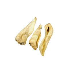 Competition Geitenoren Adult -Honden Benodigdheden Winkel 739152c17d3f9a966001e738d8accc97158ed8f8e8828c83c2652bad537110c2 3 5