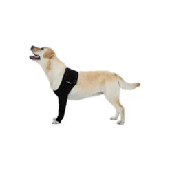 Suitical Recovery Sleeve -Honden Benodigdheden Winkel 76b4b209bc53d3247073b5749679d77b3badf5fcb7fc8c8562a27af99ee06e02 4