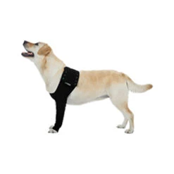 Suitical Recovery Sleeve -Honden Benodigdheden Winkel 79f89fd6b5dde99b46ceebb68327d0d2fa3de7343ee45c7757208ade2c788351 3