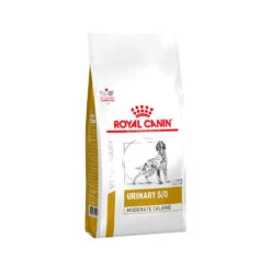 Royal Canin Urinary S/O Moderate Calorie Hond -Honden Benodigdheden Winkel 80436cce00362d3730c69ae454f40868b4d19e6f54393285d91186e01fd4f31d 3