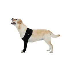 Suitical Recovery Sleeve -Honden Benodigdheden Winkel 8501e2b3c6d9ca9a674bb151ba6ec60f30e553aee7479125447d4dd96bec98ce 3