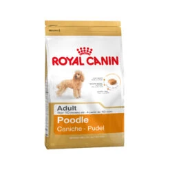 Royal Canin Poodle Adult - Hondenvoer -Honden Benodigdheden Winkel 8be5652df0dee1c7d4b55dd9d519c425b679ba5c37d3650b04f131172a49a4a2 4