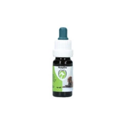 Excellent HempOne Hond En Kat -Honden Benodigdheden Winkel 8c48708c2fa86d5401958ddfe107c50aa7f6d03024de90cfaf796de9f6a32a84 4