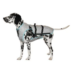 Suitical DRY Cooling Vest -Honden Benodigdheden Winkel 9fc9d6f550f0a0651c1b11f82b9a9f578f28ee2cf2a5c7894a8c9c45711efdfd 3