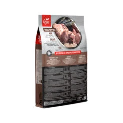 Orijen Regional Red Dog Whole Prey -Honden Benodigdheden Winkel HNnGJ1ZV6vwIPRLbVA2GrcBtWSYhjh metaRG9nXy1SZWdpb25hbC1SZWQtYmFjay5qcGc