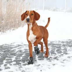 Trixie Walker Active Hondenschoen -Honden Benodigdheden Winkel PsdmV3s42nme2JcMjnr6vQiCHntWYw metadHJpeGllLXNjaHVoLXNmZWVyLTIucG5n