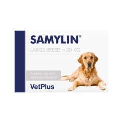 Vetplus Samylin - Tabletten 6 Vetplus Samylin - Tabletten -Honden Benodigdheden Winkel TMpWTAiSQVnLBFciegVunVUDv8tzTF metadmV0cGx1c19zYW15bGluXzIwNDUxOF8wNTAwX25vbmUucG5n