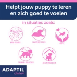 Adaptil Halsband - Junior -Honden Benodigdheden Winkel YeyWyxAVyMKjZHUQgZDeUtx9UISUUd metaQWRhcHRpbC1KdW5pb3ItY29sbGFyLUNhcm91c3NlbC0zLmpwZw