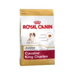 Royal Canin Cavalier King Charles Puppy - Hondenvoer 19 Royal Canin Cavalier King Charles Puppy - Hondenvoer -Honden Benodigdheden Winkel a08325876bf858d1a85320c3bfd03deb4d2dabb9d3f6d280a35d41719877bba0 3 5