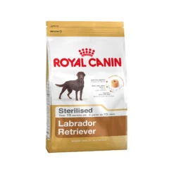 Royal Canin Labrador Retriever Sterilised Adult - Hondenvoer -Honden Benodigdheden Winkel a88c9d666ec594ce25fa521f33e2232777c0b5b3a94b1a6cadff8a711efde7a6 4