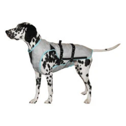 Suitical DRY Cooling Vest -Honden Benodigdheden Winkel ac95b6db4b42da325aec7c3d99d402af2004e2a715656b923f4e7f177f1d3bec 3