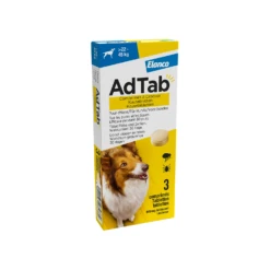 AdTab Kauwtabletten Hond 21 AdTab Kauwtabletten Hond -Honden Benodigdheden Winkel adtab kauwtabletten hond 224087 1500 none