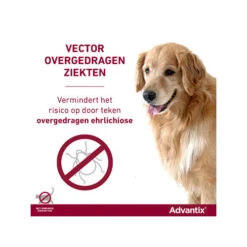 Advantix 33 Advantix -Honden Benodigdheden Winkel advantix 174193 0500 none