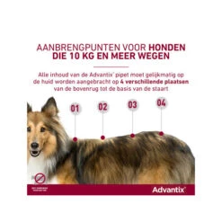 Advantix 35 Advantix -Honden Benodigdheden Winkel advantix 174199 0500 none