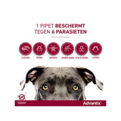Advantix 37 Advantix -Honden Benodigdheden Winkel advantix 174205 0500 none