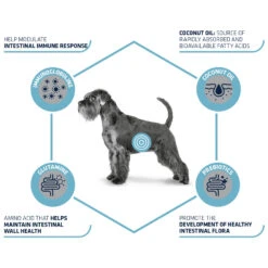 Affinity Advance Veterinary Diets Gastroenteric Hond -Honden Benodigdheden Winkel affinity advance veterinary diets gastroenteric hond 177655 1500 none