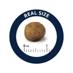 Affinity Advance Veterinary Diets Gastroenteric Hond -Honden Benodigdheden Winkel affinity advance veterinary diets gastroenteric hond 177679 0500 none