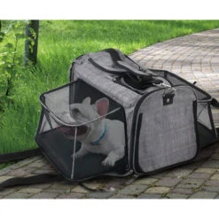 All For Paws AFP Travel Dog - Rolling Pet Carrier -Honden Benodigdheden Winkel afp travel dog rolling pet carrier 213521 0500 none