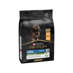 Purina Pro Plan Dog Puppy - Large Breed -Honden Benodigdheden Winkel awBxDSSbRsIDmb0OdL7r3ZjejoZVi9 metaUHVyaW5hLVByby1QbGFuLUxhcmdlLUJyZWVkLVJvYnVzdC5qcGc