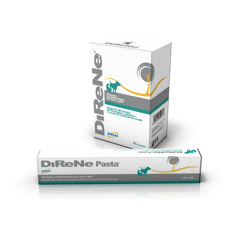 DRN DiReNe - Pasta 2 DRN DiReNe - Pasta - Afbeelding 2
