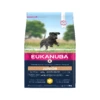 Eukanuba Dog – Growing Puppy – Large Breed