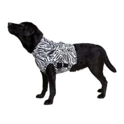 Medical Pet Top Shirt - Zebraprint -Honden Benodigdheden Winkel bb59015351cf2030d372d6670fd27d43edc3af012dae6825c87454dc81b95f41 4
