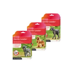 Beaphar Gentle Leader 13 Beaphar Gentle Leader -Honden Benodigdheden Winkel beaphar gentle leader 210173 0500 none