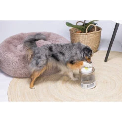 Beeztees Brain Game Delicious -Honden Benodigdheden Winkel beeztees brain game delicious 221762 2000 none