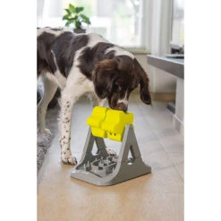 Beeztees Brain Game Rodar -Honden Benodigdheden Winkel beeztees brain game rodar 221757 2000 none